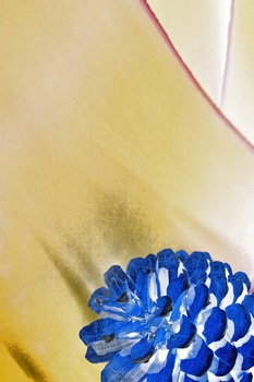N 081A